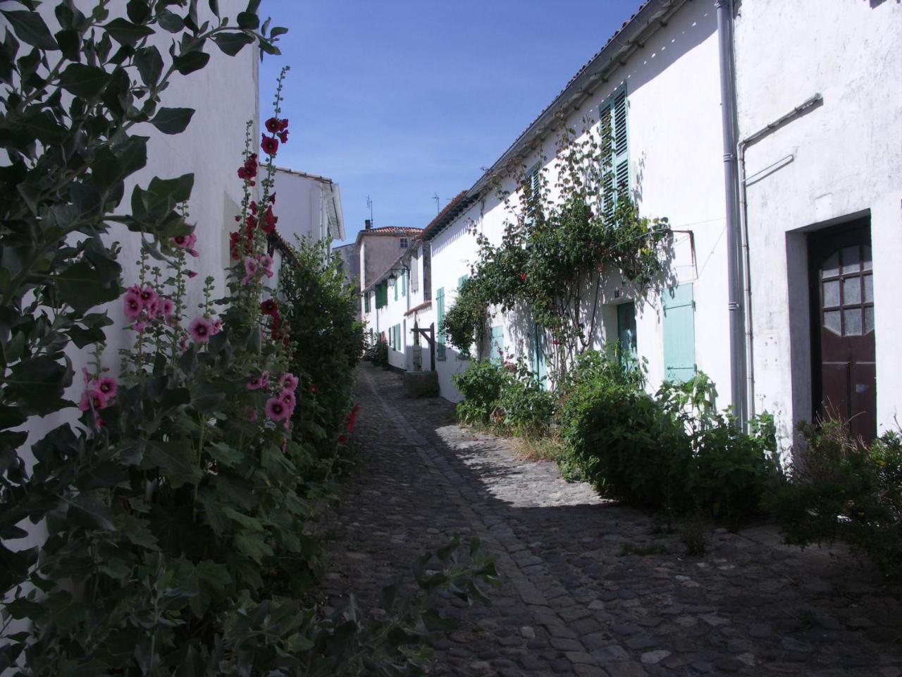 Maison Antioche Saint-Martin-de-Ré Buitenkant foto